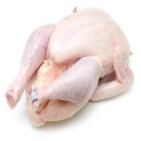 Frozen Halal Whole Fresh Chicken From Turkey High Quality