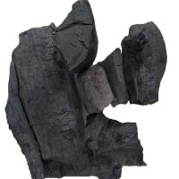 100% Natural Coconut - High quality shisha charcoal 25x25x25 CUBE direct factory