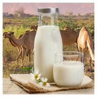 Pure Natural Fresh Camel Milk Powder/Camel Milk Powder/camel milk cream