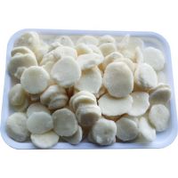 Wholesale IQF Frozen Water Chestnut Slices IQF Sliced Water Chestnuts For Supermarkets