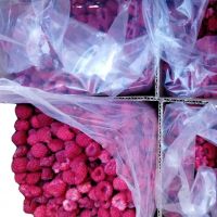 Sinocharm BRC-A Certified Sweet Peeled Seedless Tropical Fruit IQF Frozen Lychee