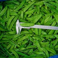 Wholesale green vegetables frozen snow peas iqf peapod