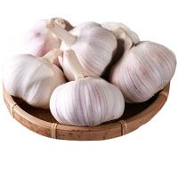 Fresh White Garlic 6.0cm Chinese Normal White Pure White Fresh Garlic Wholesale 10kg Carton Garlic For Sale