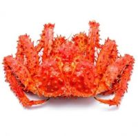 Crab ,Red King Crab ,Live and Frozen Red king crab