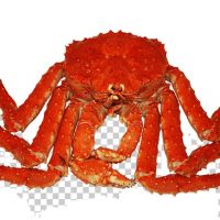 Wholesale Alaskan King Crab / Best Selling Frozen King Crab Legs Wholesale / Buy Canadian Red King Crab Legs