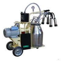 cattle milking machine of piston type