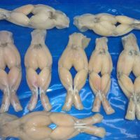 Wholesale frog legs frozen seafood skinless frog meat Hidee