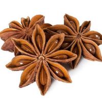 Pure Natural Plant Extract Steam Distillation Star Anise Oil 99% Anethole