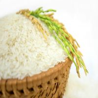 Basmati Rice 1121 White Sella Long Grain Rice Broken 2% 25/50 kg pp bag