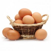 Farm Fresh Chicken Table Eggs / White Chicken Eggs