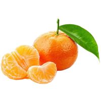 Best quality canned mandarin orange in tin, canned food, canned naranjas