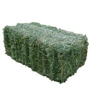 Alfalfa Hay at very cheap price / Quality Rhodes Grass Hay Alfalfa