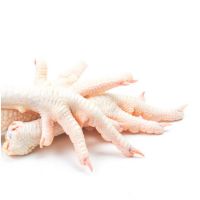 Fresh Frozen Halal Chicken Feet And Chicken Paw Manufacturers For Sale Wholesale