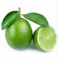 Lime 100% Maturity Natural Taste 5 cm Size Lime Green skin Good Quality Fresh Lime