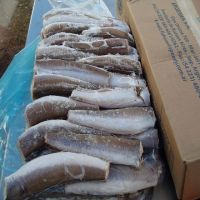 Discount sale Fresh frozen Hake whole fish, Frozen Hake fish fillet hake