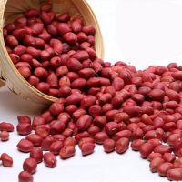 Premium Quality Raw Peanuts, Pea Nut, Roasted, Raw Ground Nuts For Sale