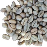 Best quality Green Coffee Beans SANTOS NY2/3 SC.14/16 Arabica ready to export