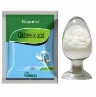 The best price for HiBong Gibberellic Acid 90% Technical Grade growth-hormone GA3