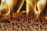 Wood pellets & Charcoal 