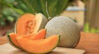 Cantaloupe