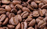 Robusta Coffee beans