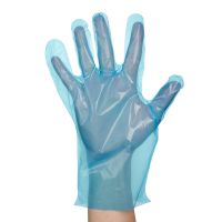 CPE gloves