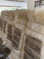   SISAL FIBER