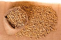 Soyabeans NON GMO / GMO