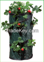 Strawberry Planting Bag / Strawberry Grow Bag/ Herb Planting Bag