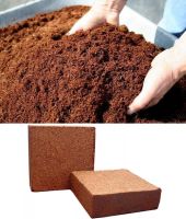 The Biggest Coconut Peat / Cocopeat Block Manufacturer & Supplier