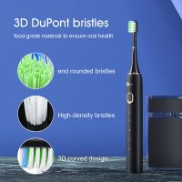 Wholesale Oral Care Rechargeable Waterproof IPX7 Design Electric Toothbrush PT02