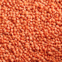 Red Lentils