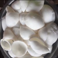 Coconut Meat