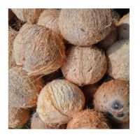 Dried Coconut