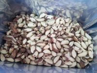 Brazil Nuts