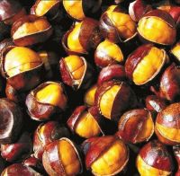 Chestnuts