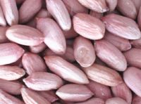 Peanuts