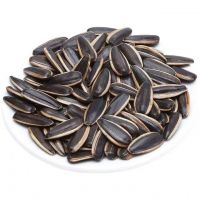 Sunflower Kernels/Sunflower Seeds