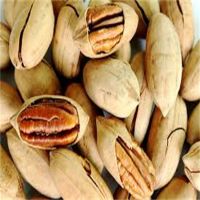 Pecan Nuts