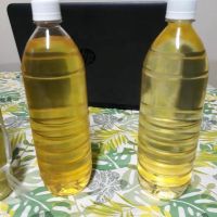 Camellia Oil