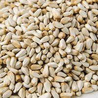 Safflower Seeds