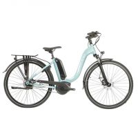 RALEIGH Motus + Evans Exclusive Low Step Hub Gear 2021 Electric Hybrid Bike