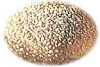 Quality and Sell Sesame Seeds