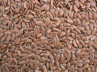 Quality and Sell Flax Seed