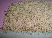 Quality and Sell SESAME SEEDS