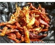 Quality and Sell chilli powder