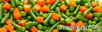 Quality and Sell frozen mixed vegetables