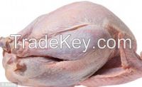 Quality and Sell Frozen Halal Turkey Wings, Turkey drumsticks