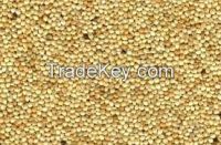 Quality and Sell High   quality yellow broom corn millet/grain 