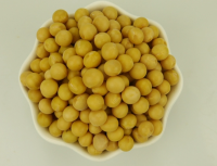 Quality and Sell High Quality Non-GMO Soybean &amp; GMO Soybean - Grade A